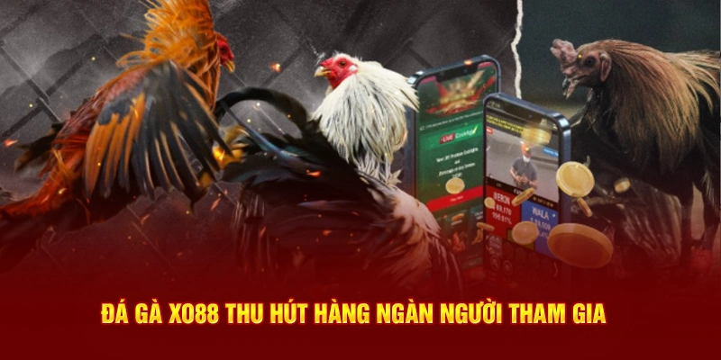 Game Đá Gà tại nhà cái Xo88 thu hút đông đảo cược thủ